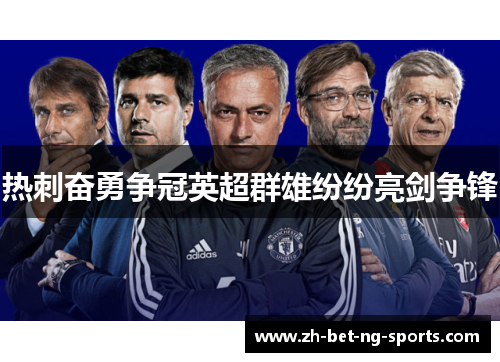 热刺奋勇争冠英超群雄纷纷亮剑争锋